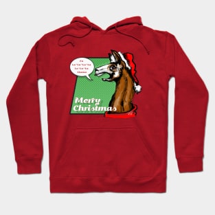 Fa La La La Llama Hoodie